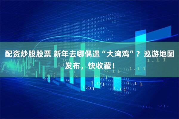配资炒股股票 新年去哪偶遇“大湾鸡”？巡游地图发布，快收藏！