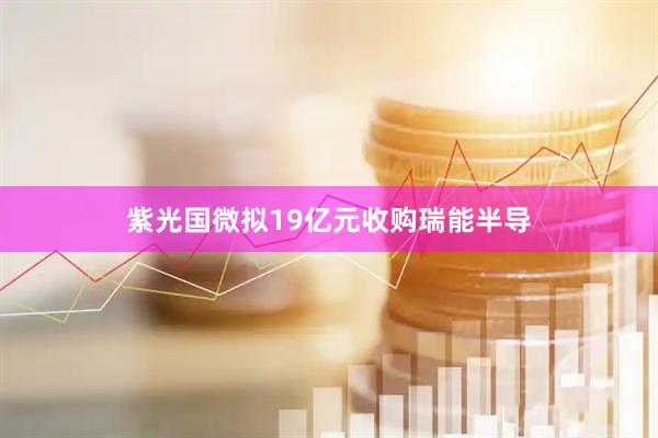 紫光国微拟19亿元收购瑞能半导