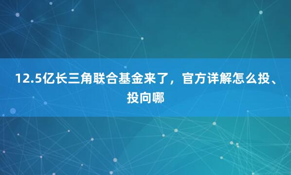 12.5亿长三角联合基金来了，官方详解怎么投、投向哪
